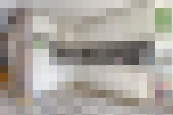 De Boterbloem 11 Budel thumbnail 28