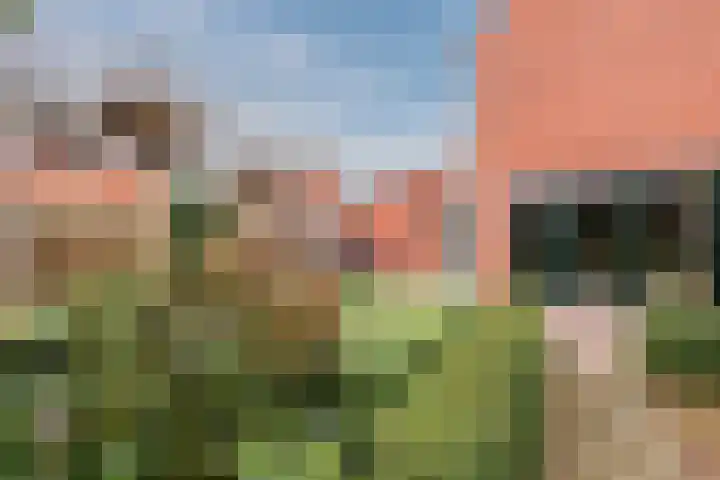 De Boterbloem 11 Budel thumbnail 29