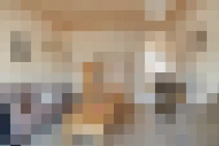 De Boterbloem 11 Budel thumbnail 30