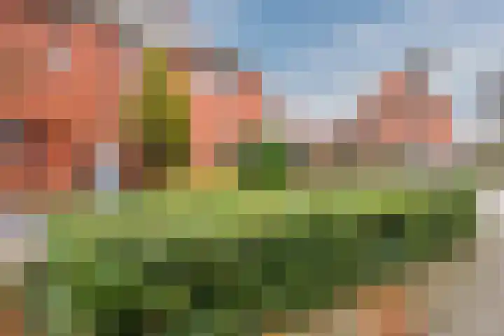 De Boterbloem 11 Budel thumbnail 31