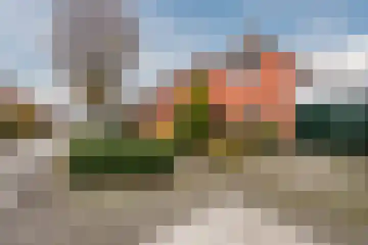 De Boterbloem 11 Budel thumbnail 32