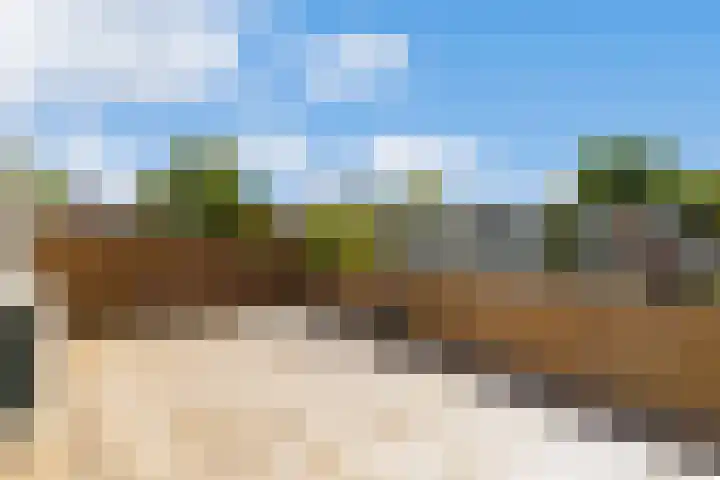 De Boterbloem 11 Budel thumbnail 33