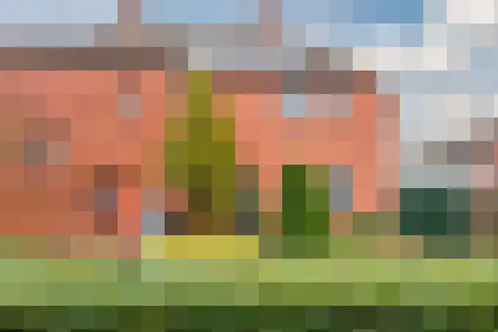 De Boterbloem 11 Budel thumbnail 4