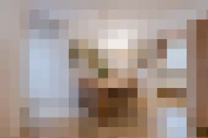 De Boterbloem 11 Budel thumbnail 8