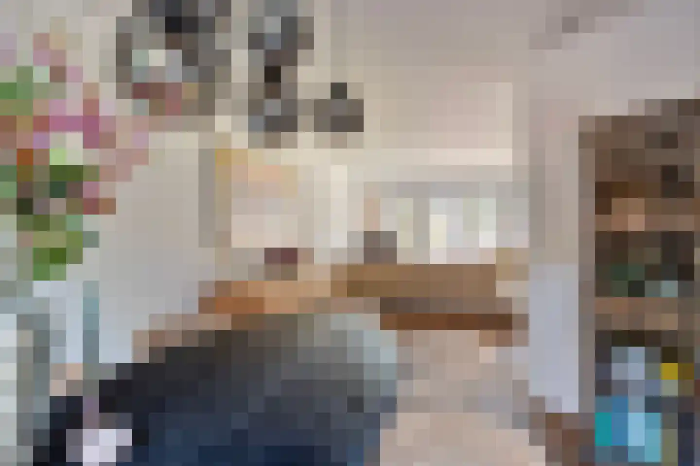 De Boterbloem 8 Boekel thumbnail 13
