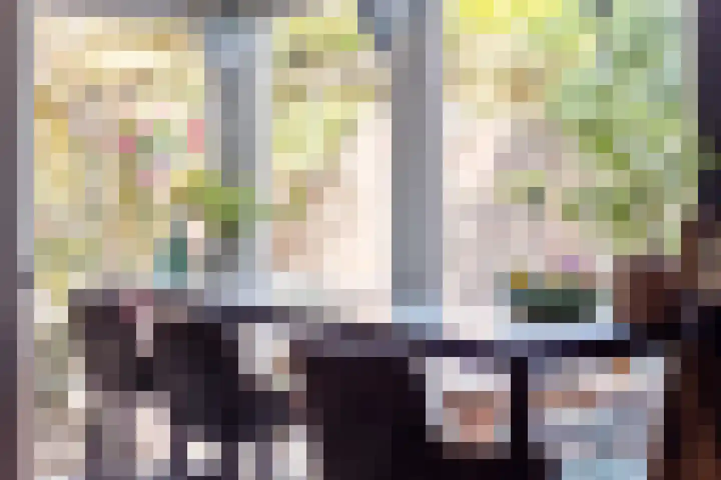De Boterbloem 8 Boekel thumbnail 18