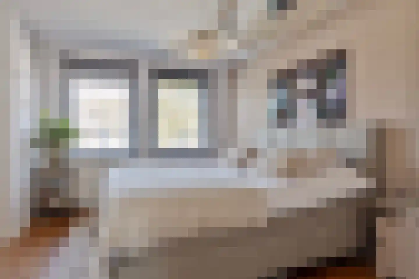 De Boterbloem 8 Boekel thumbnail 23