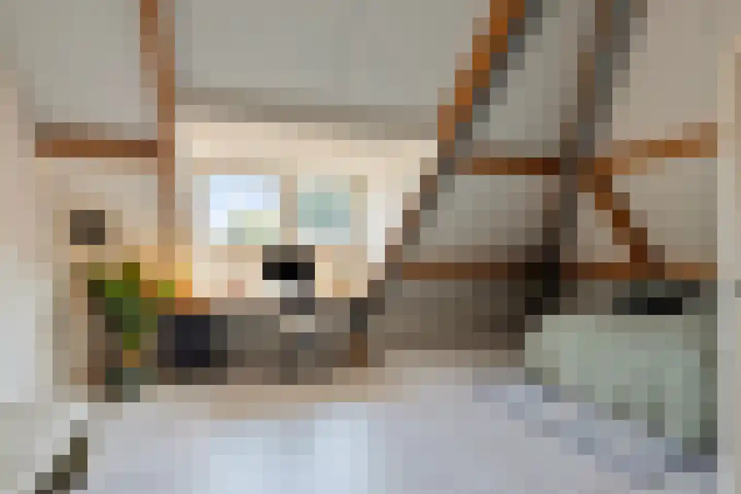 De Boterbloem 8 Boekel thumbnail 32