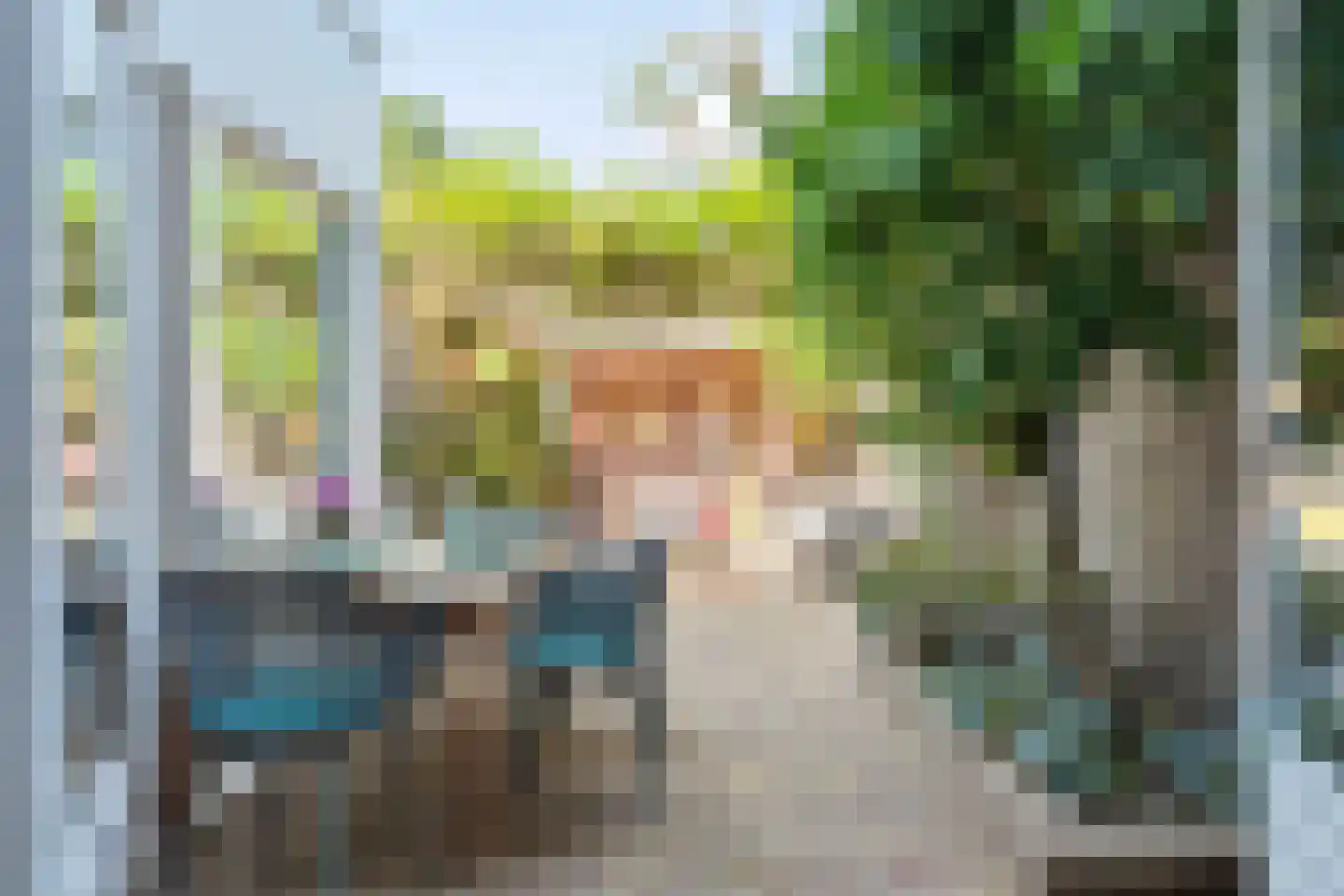 De Boterbloem 8 Boekel thumbnail 33