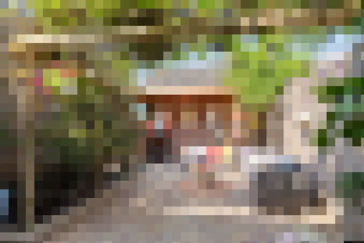 De Boterbloem 8 Boekel thumbnail 35