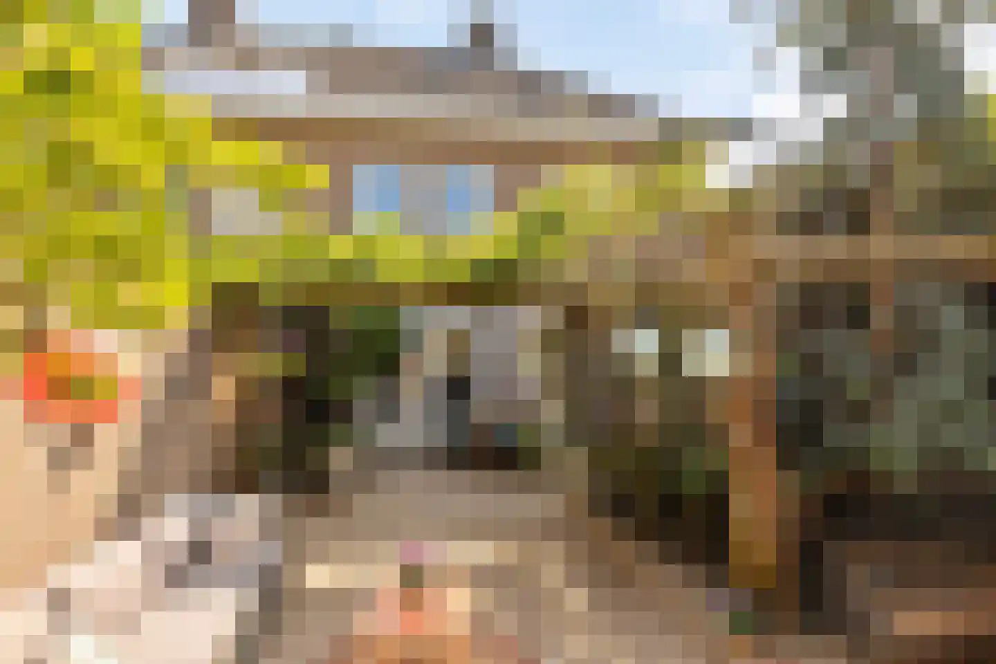 De Boterbloem 8 Boekel thumbnail 37