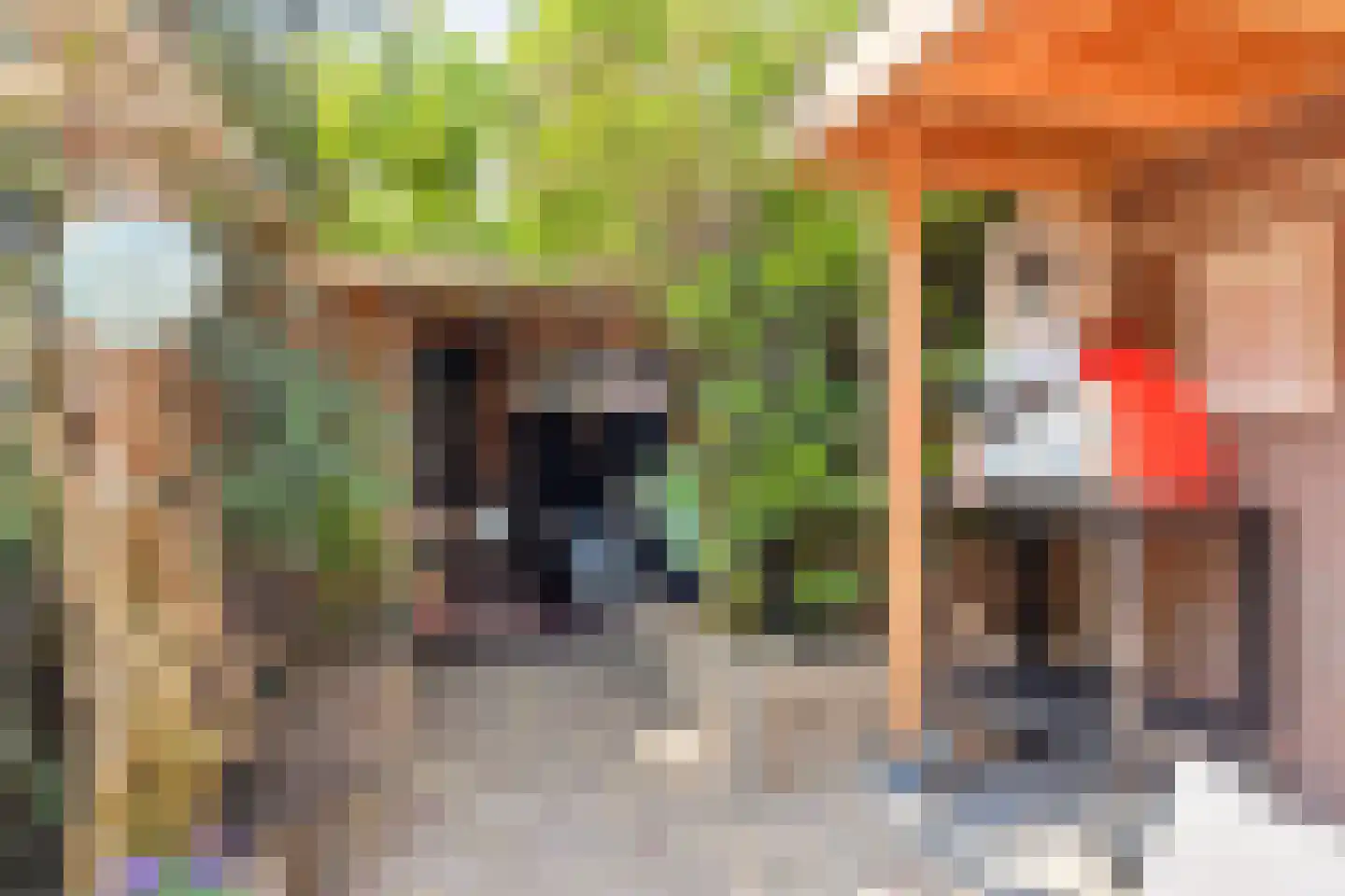 De Boterbloem 8 Boekel thumbnail 39