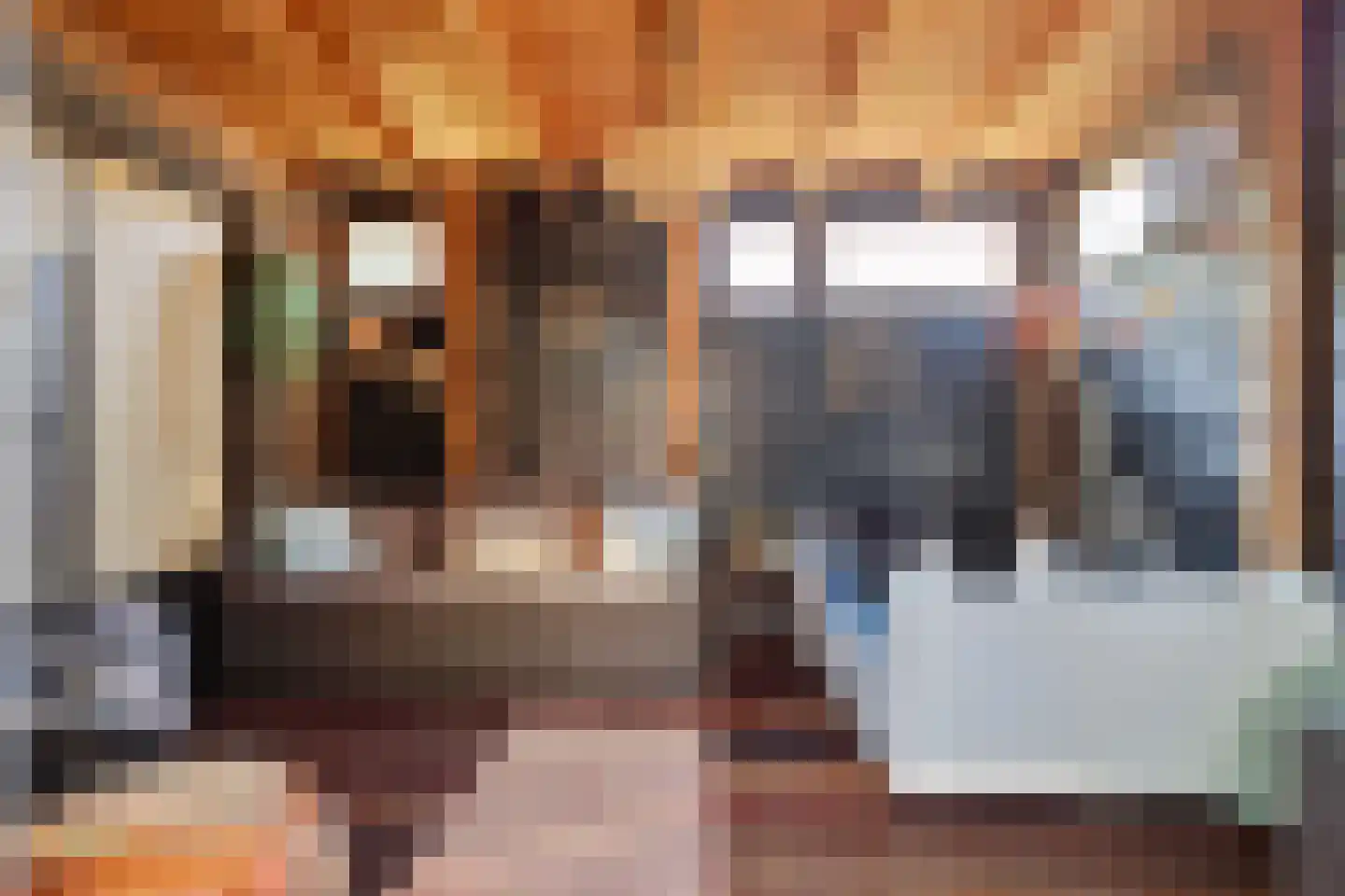 De Boterbloem 8 Boekel thumbnail 40