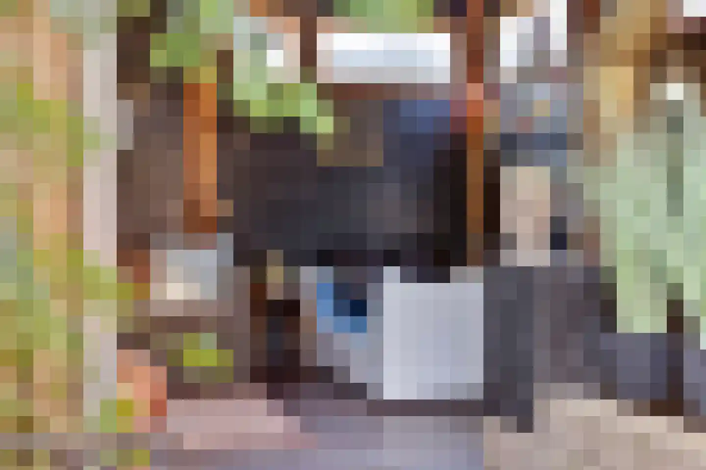 De Boterbloem 8 Boekel thumbnail 41