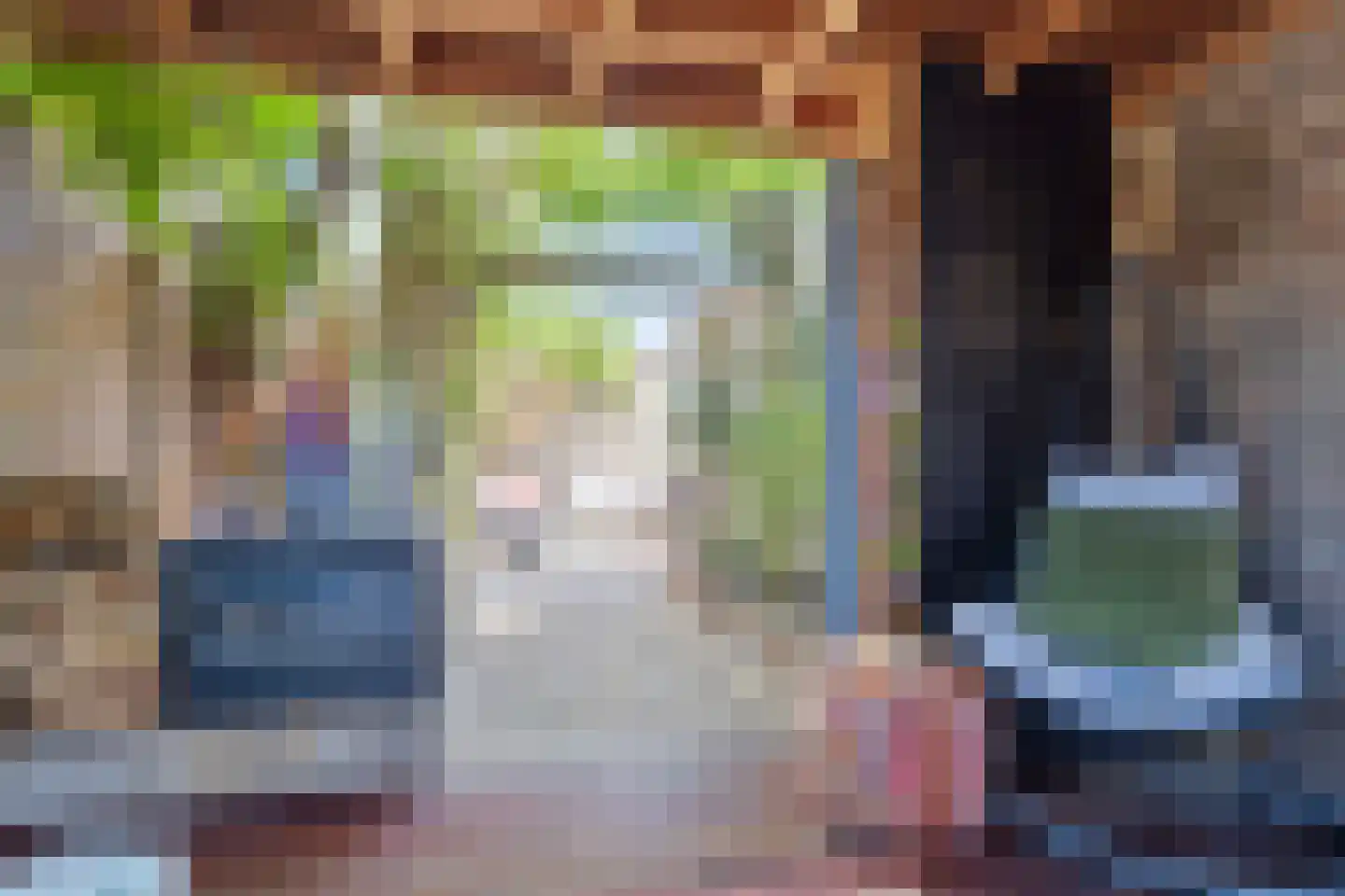 De Boterbloem 8 Boekel thumbnail 42