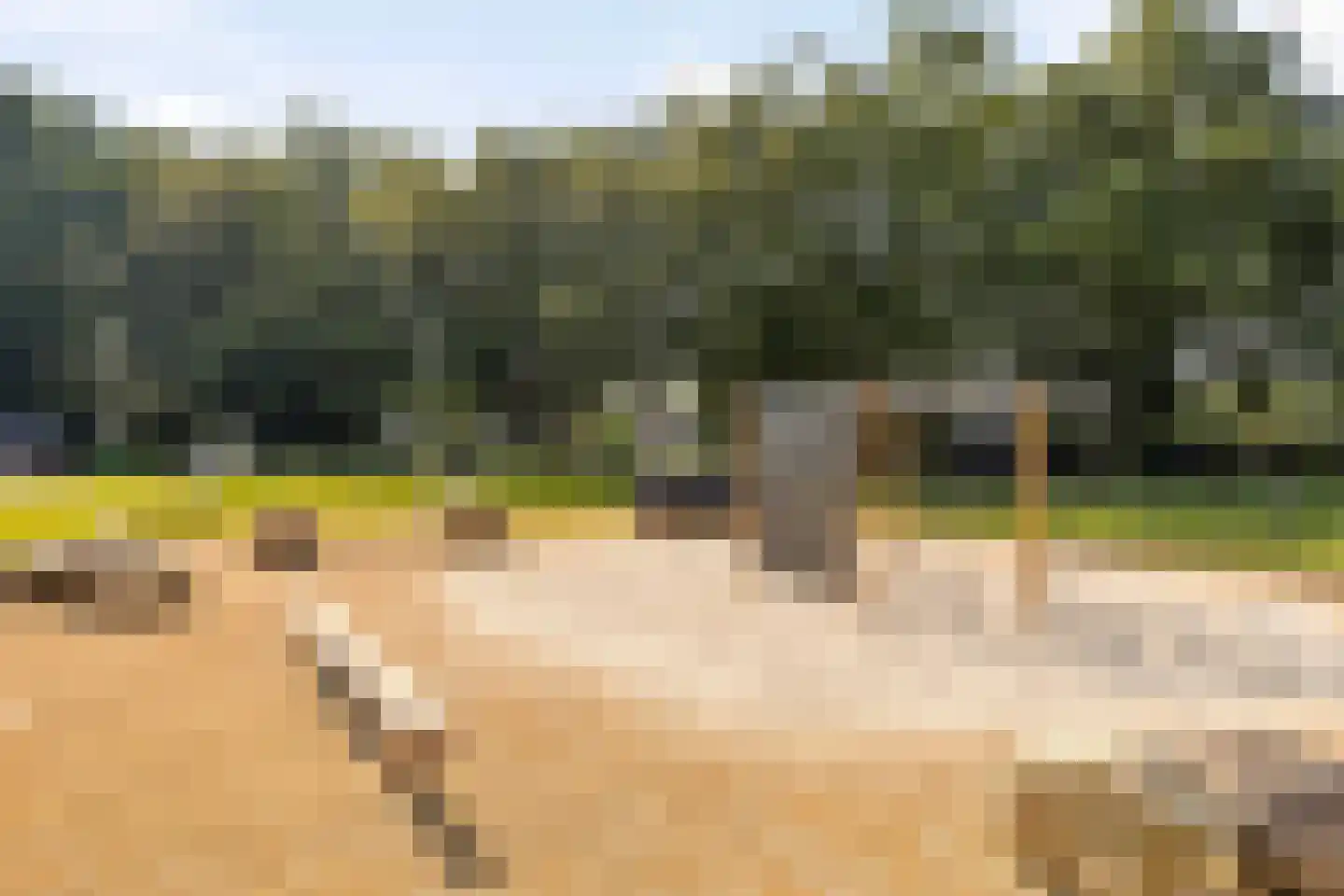 De Boterbloem 8 Boekel thumbnail 44