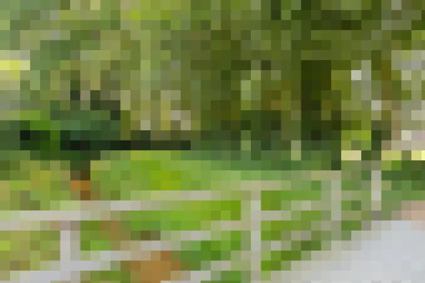 De Boterbloem 8 Boekel thumbnail 45