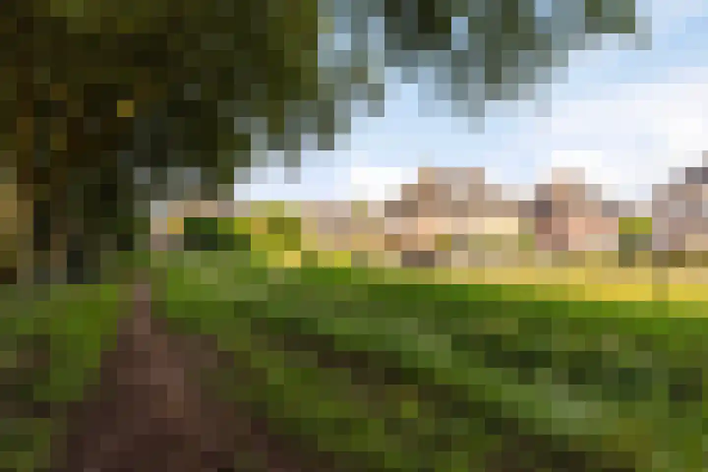 De Boterbloem 8 Boekel thumbnail 7