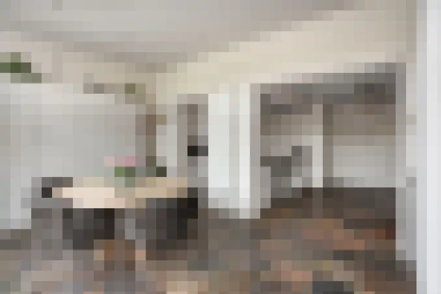 De Boterbloem 9 Budel thumbnail 10