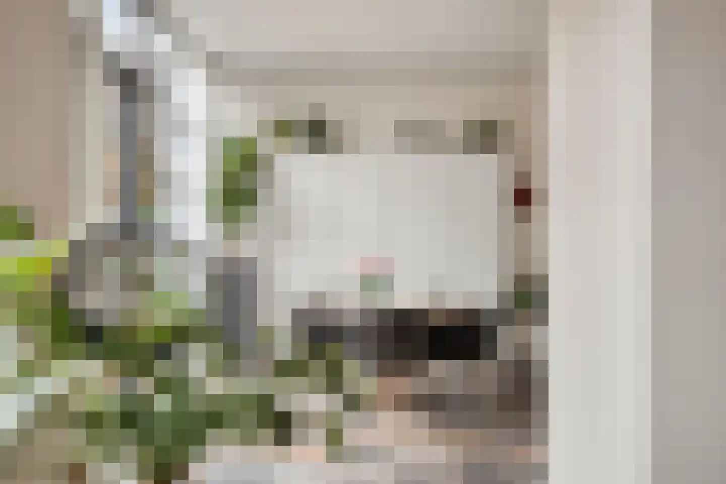 De Boterbloem 9 Budel thumbnail 11