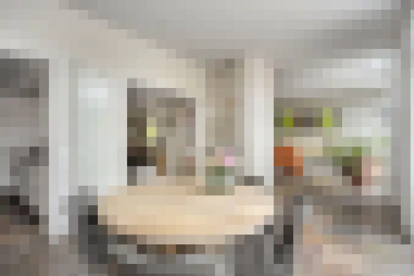 De Boterbloem 9 Budel thumbnail 12