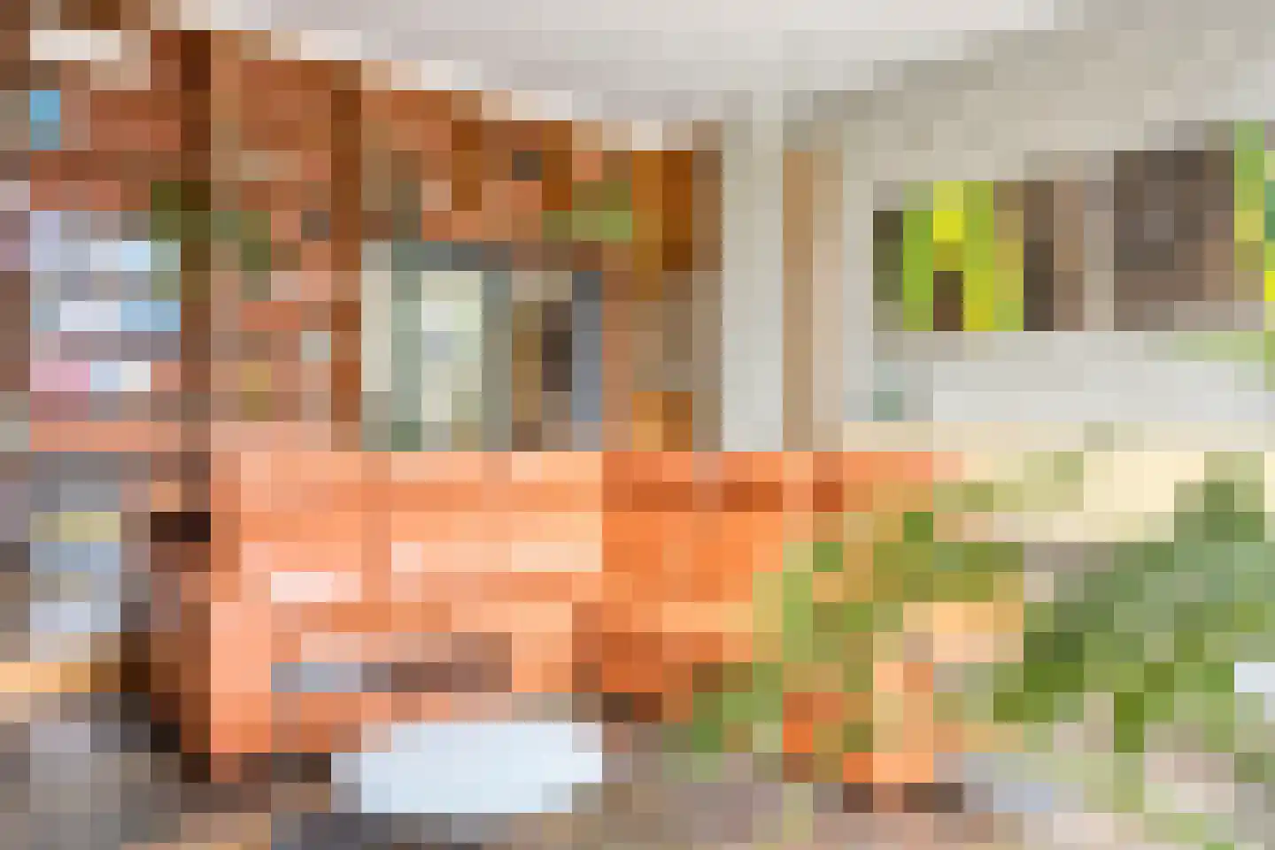 De Boterbloem 9 Budel thumbnail 13