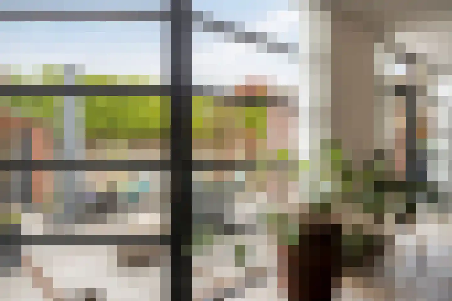 De Boterbloem 9 Budel thumbnail 18