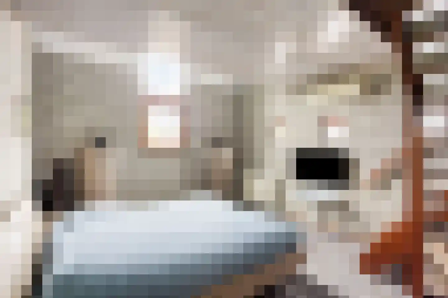 De Boterbloem 9 Budel thumbnail 21