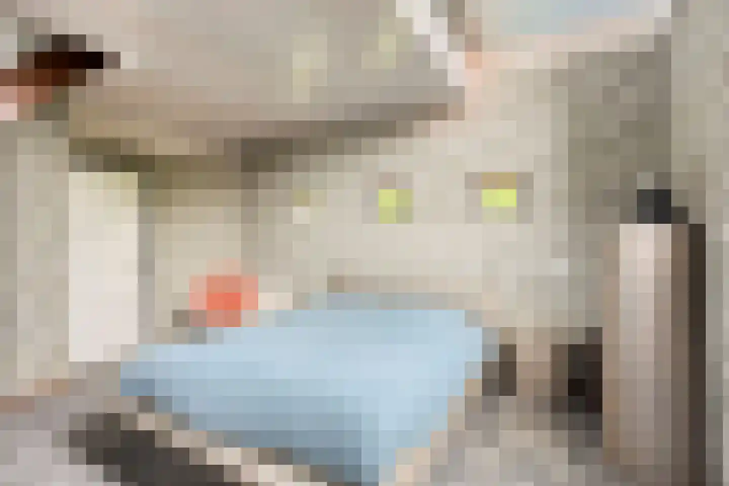 De Boterbloem 9 Budel thumbnail 22