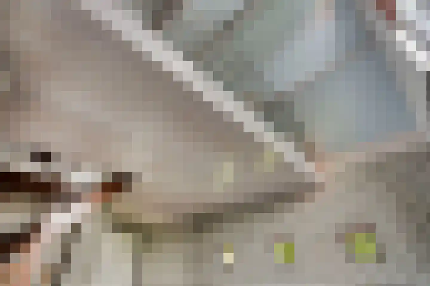 De Boterbloem 9 Budel thumbnail 23