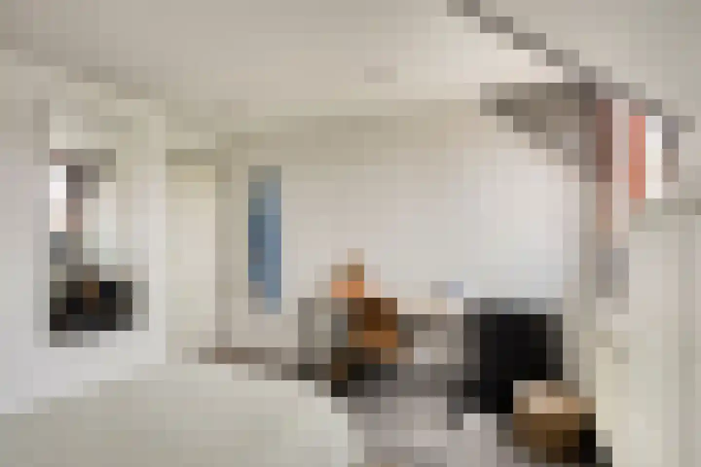 De Boterbloem 9 Budel thumbnail 25