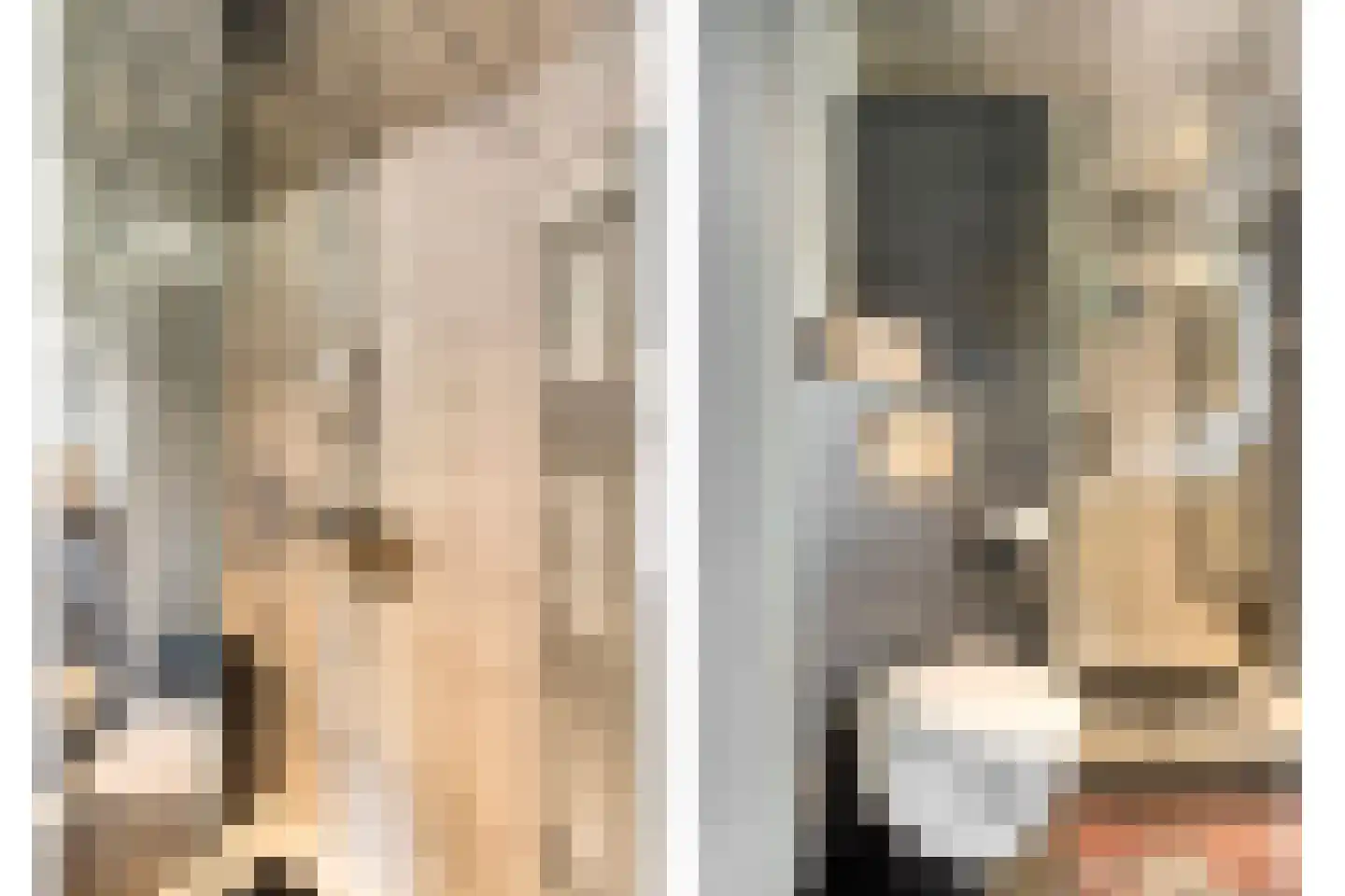 De Boterbloem 9 Budel thumbnail 26