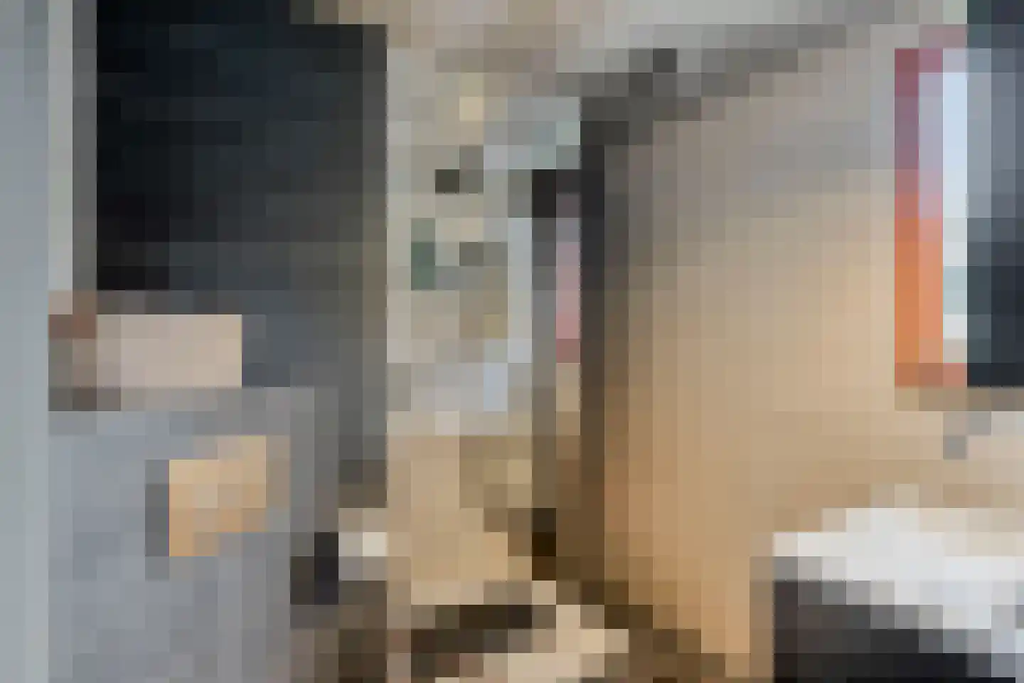 De Boterbloem 9 Budel thumbnail 27