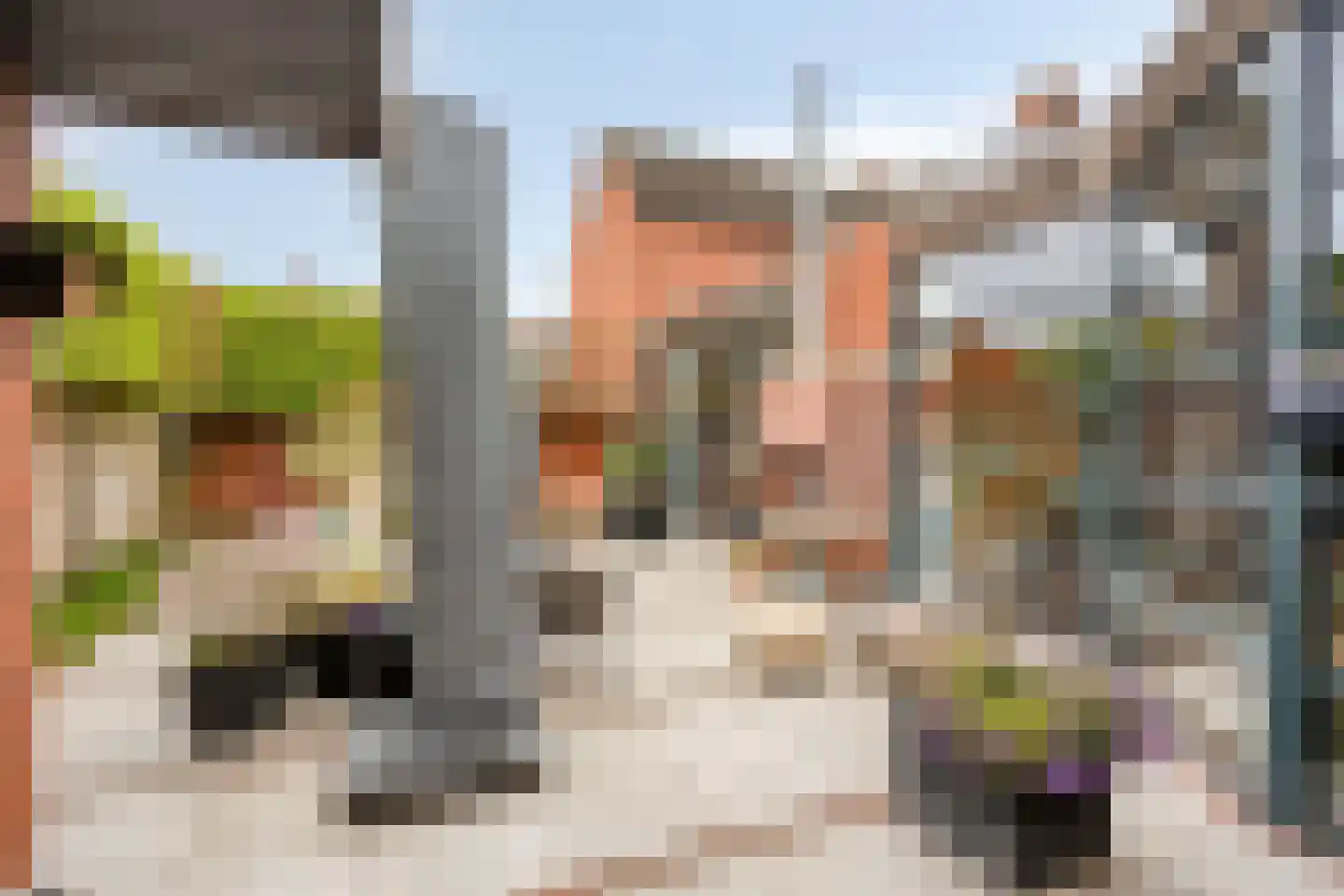 De Boterbloem 9 Budel thumbnail 30
