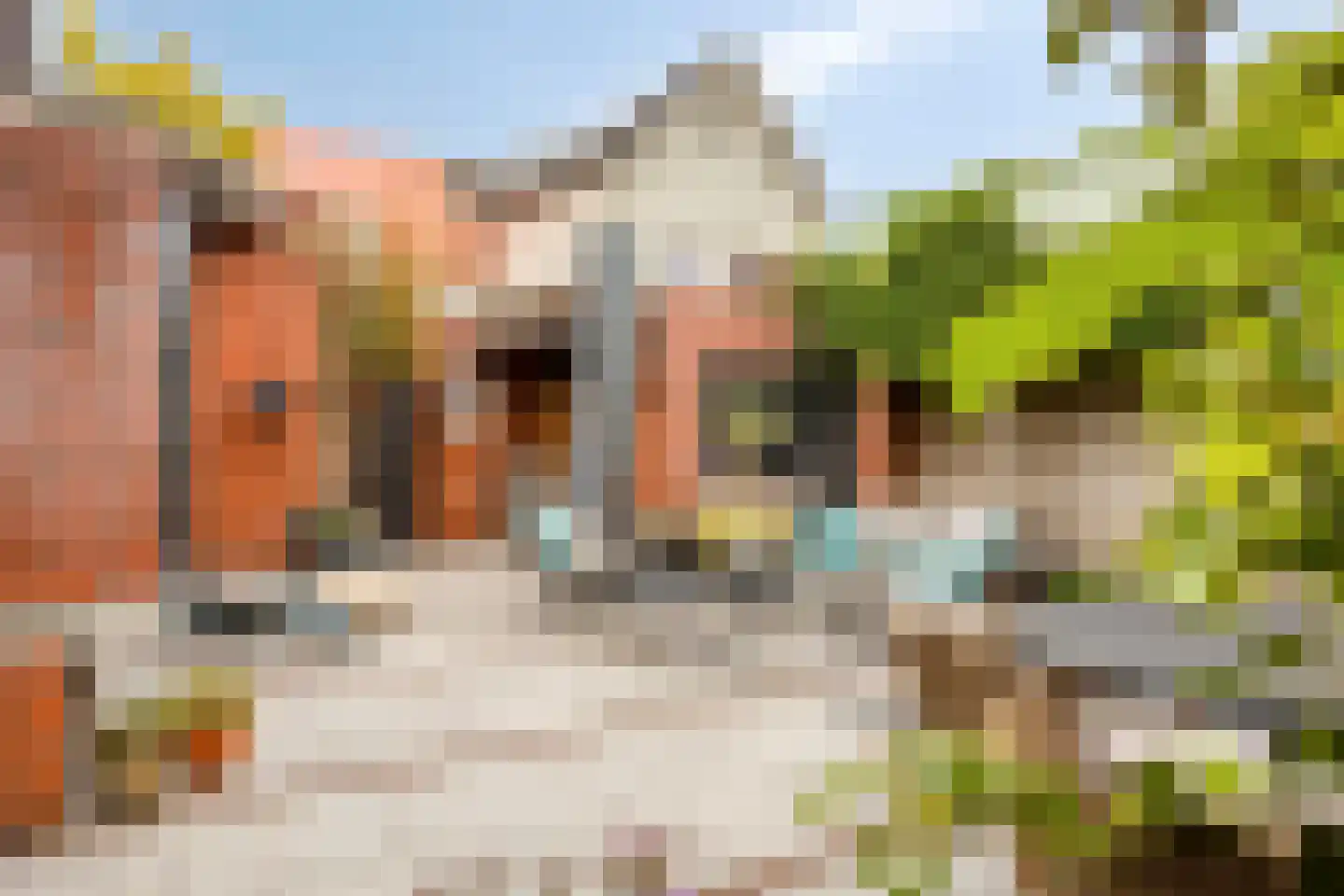 De Boterbloem 9 Budel thumbnail 31