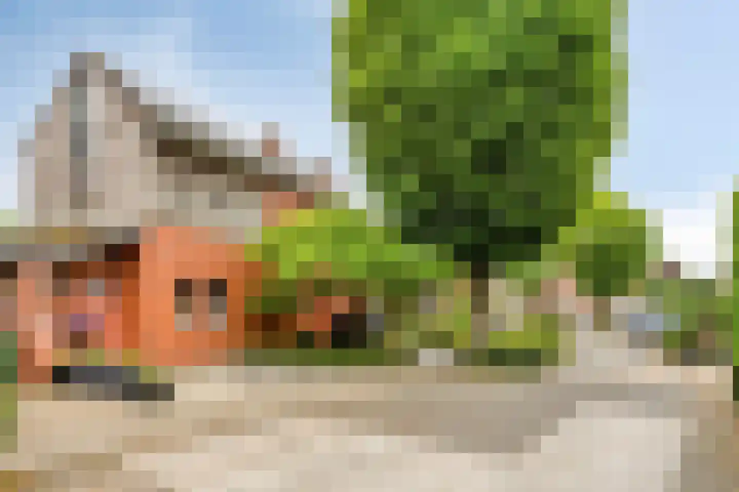 De Boterbloem 9 Budel thumbnail 38