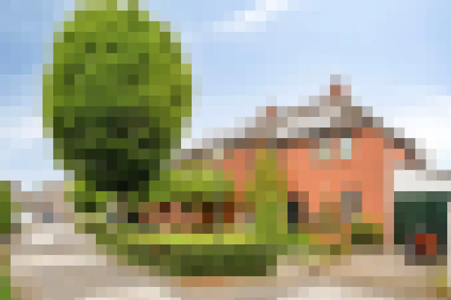 De Boterbloem 9 Budel thumbnail 39