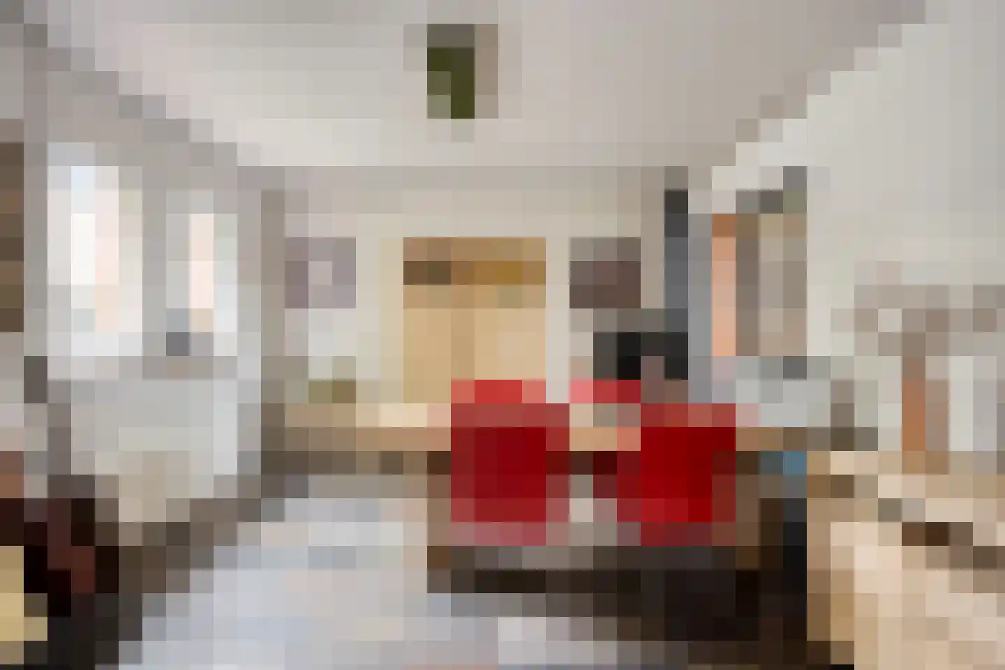 De Boterbloem 9 Budel thumbnail 4