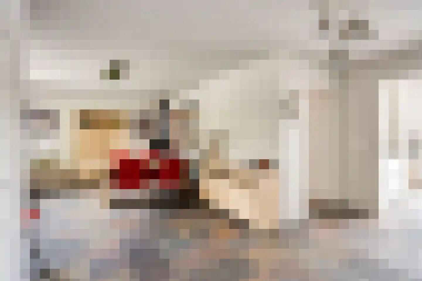 De Boterbloem 9 Budel thumbnail 5
