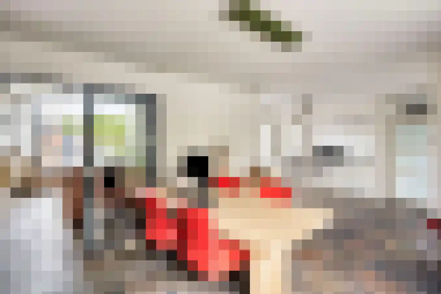 De Boterbloem 9 Budel thumbnail 6