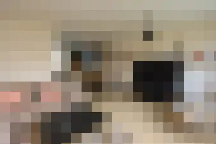 De Botteloef 11 Dronten thumbnail 11