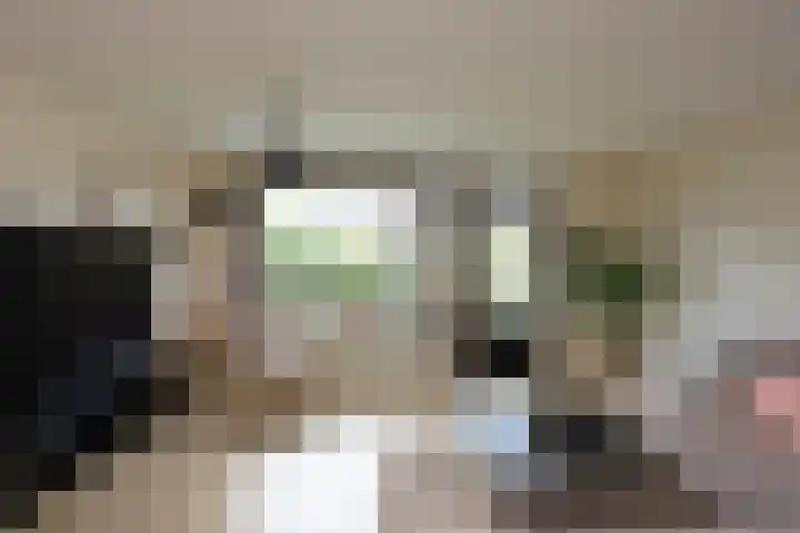 De Botteloef 11 Dronten thumbnail 13