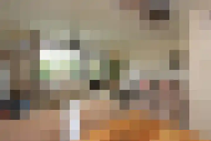 De Botteloef 11 Dronten thumbnail 14