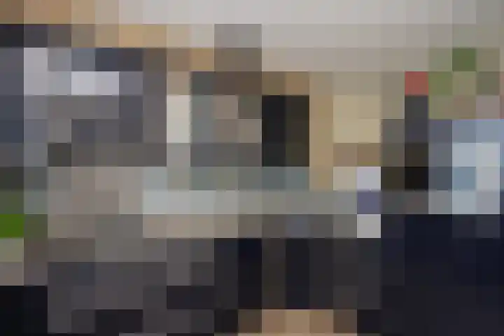 De Botteloef 11 Dronten thumbnail 15