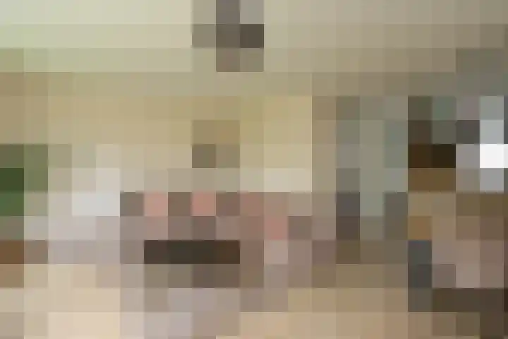 De Botteloef 11 Dronten foto 2