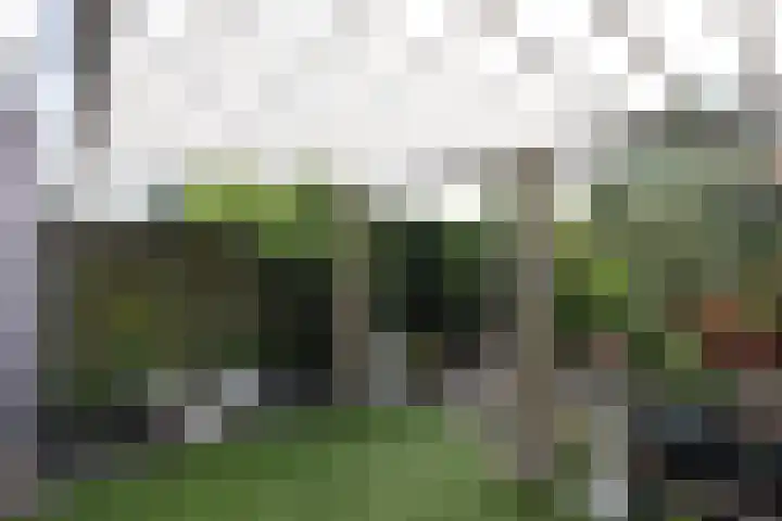 De Botteloef 11 Dronten thumbnail 30