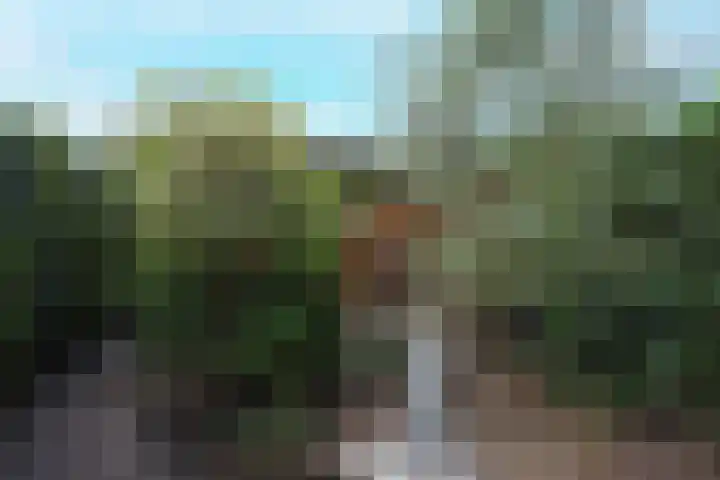 De Botteloef 11 Dronten thumbnail 33