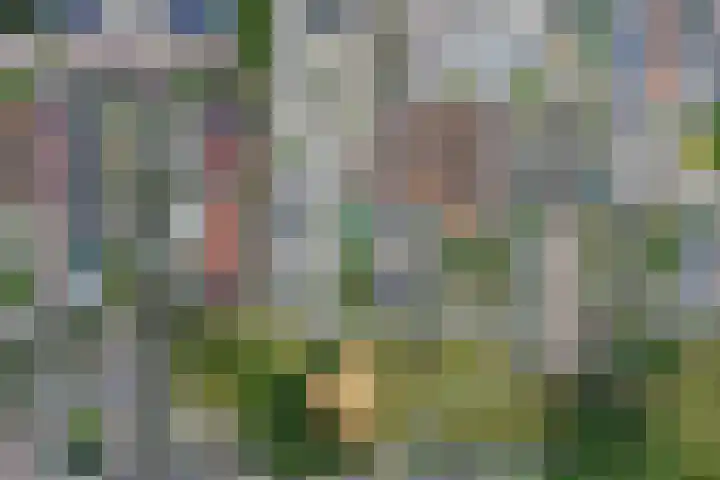 De Botteloef 11 Dronten thumbnail 34