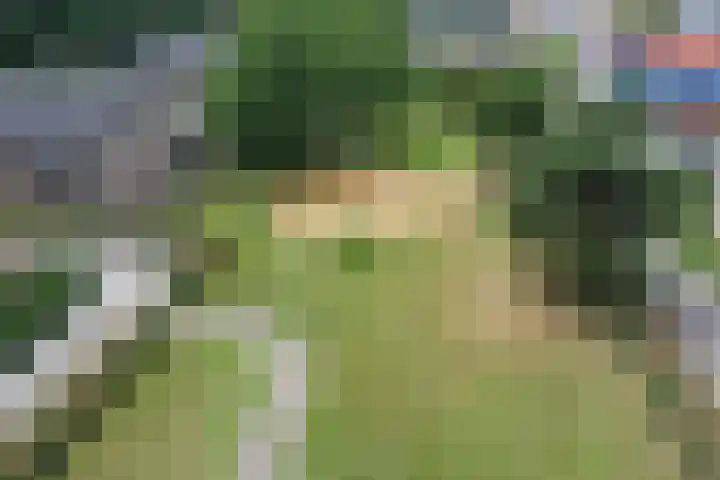 De Botteloef 11 Dronten thumbnail 36