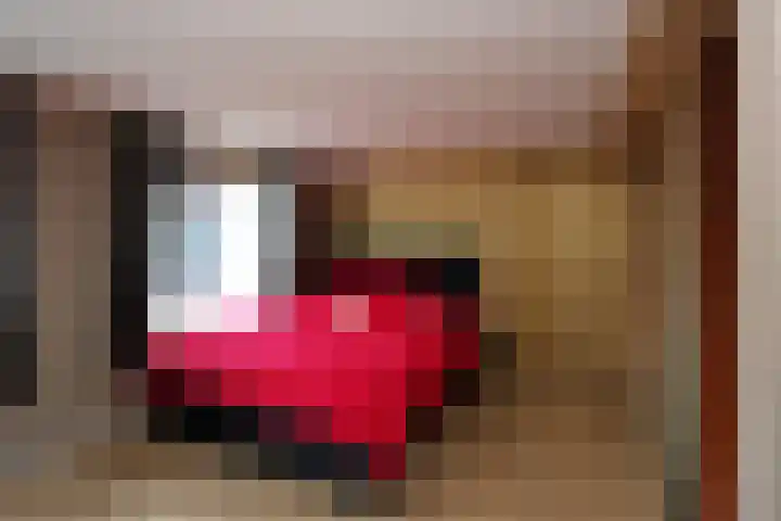 De Botteloef 11 Dronten thumbnail 4